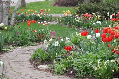 front walk in spring